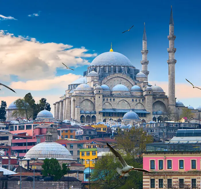 viajes singles en viajarycompartir.com