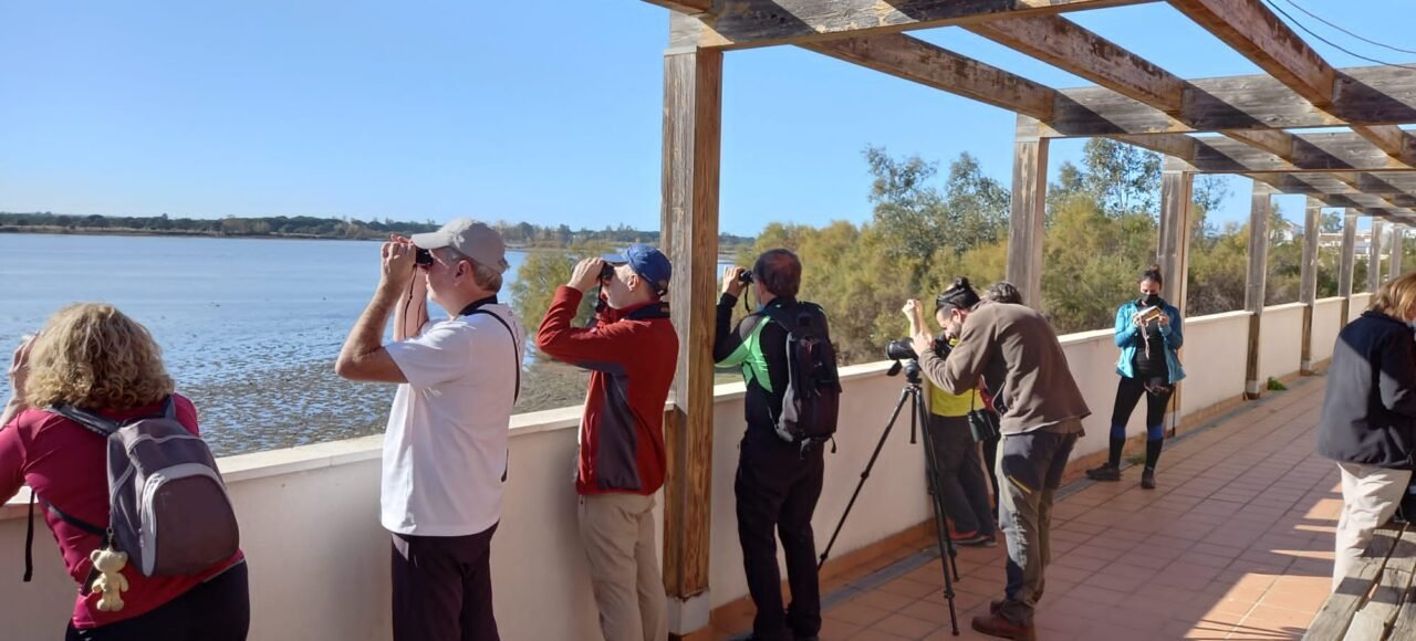 Puente de Diciembre single en Algarve con viajarycompartir.com