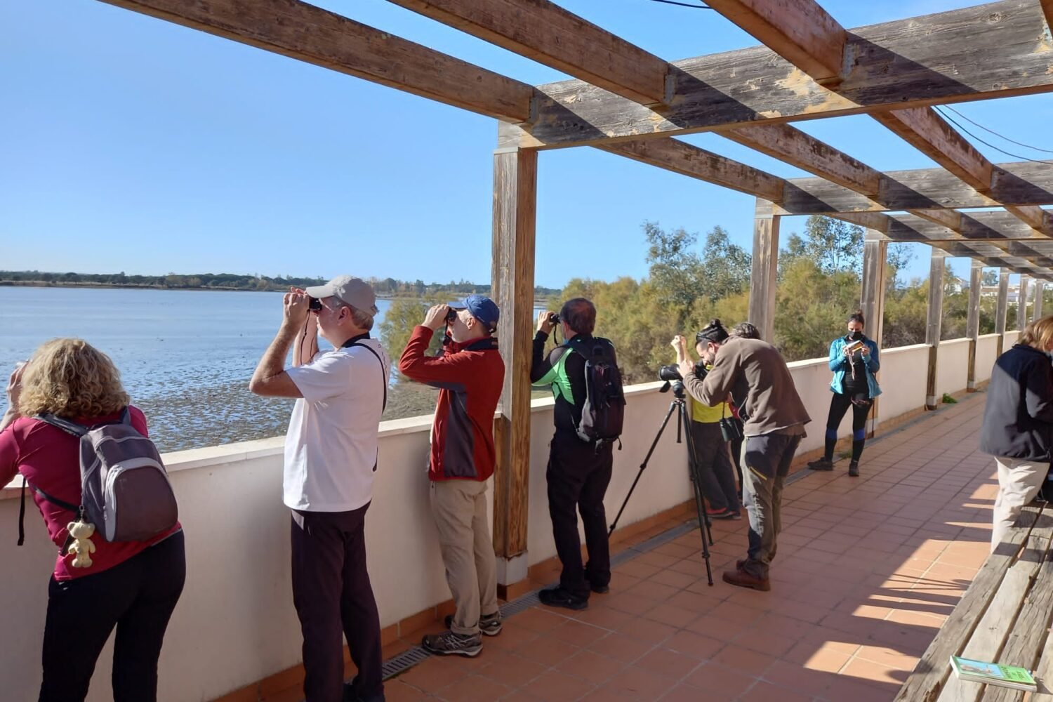 Puente de Diciembre single en Algarve con viajarycompartir.com