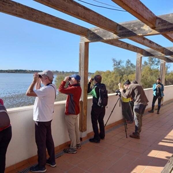 Puente de Diciembre single en Algarve con viajarycompartir.com