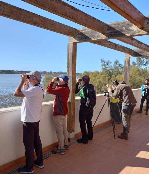 Puente de Diciembre single en Algarve con viajarycompartir.com