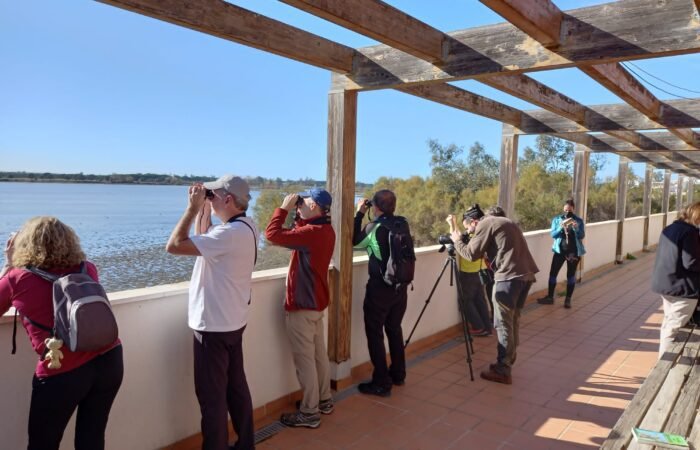 Puente de Diciembre single en Algarve con viajarycompartir.com