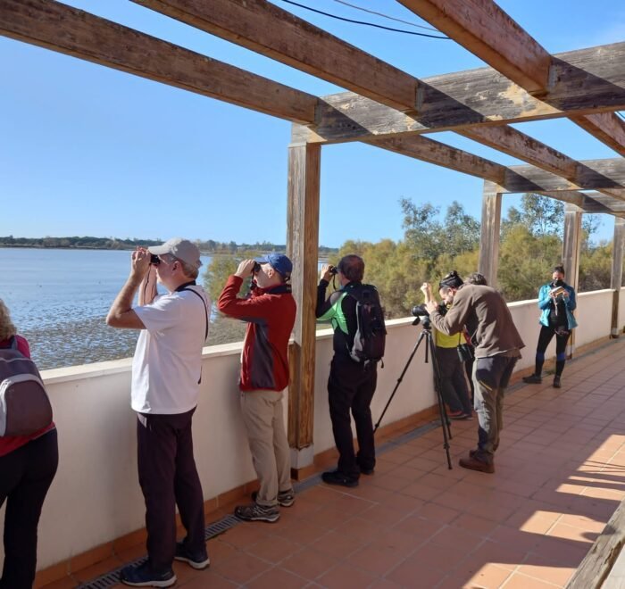 Puente de Diciembre single en Algarve con viajarycompartir.com