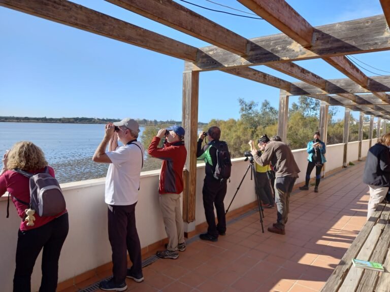 Puente de Diciembre single en Algarve con viajarycompartir.com