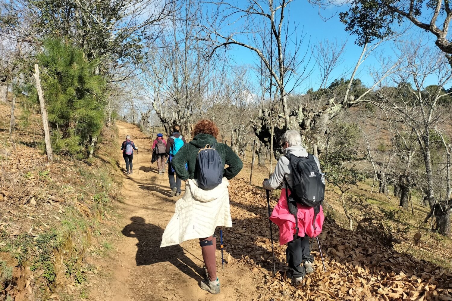 Puente de Diciembre single en Algarve con viajarycompartir.com
