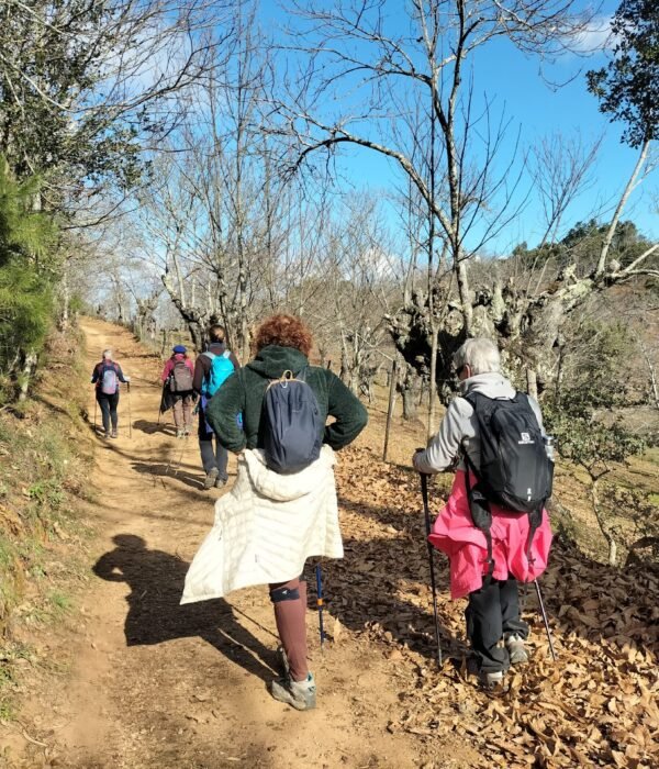 Puente de Diciembre single en Algarve con viajarycompartir.com