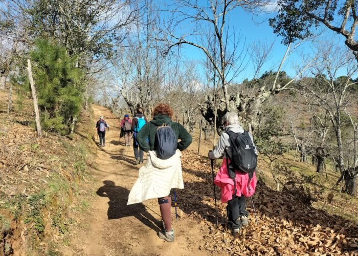 Puente de Diciembre single en Algarve con viajarycompartir.com