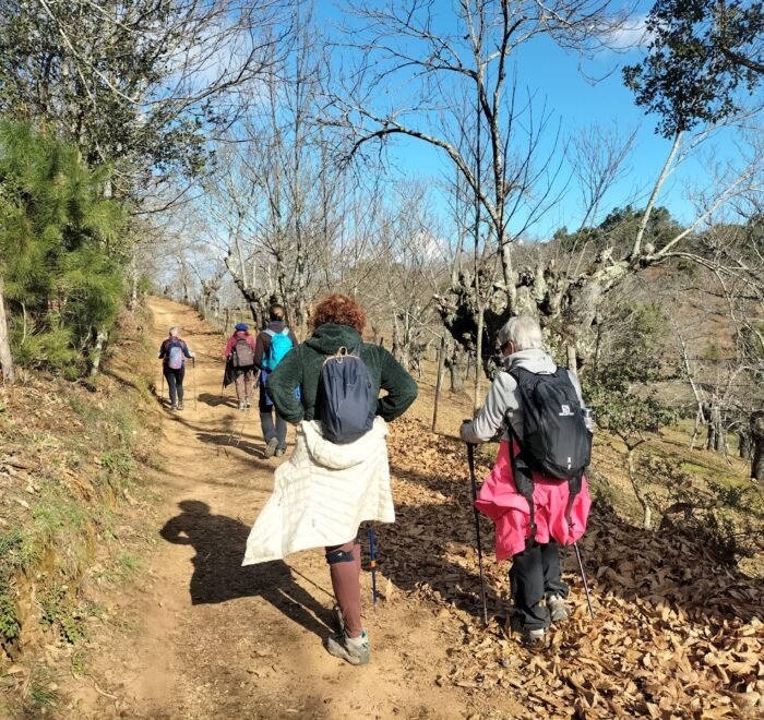 Puente de Diciembre single en Algarve con viajarycompartir.com