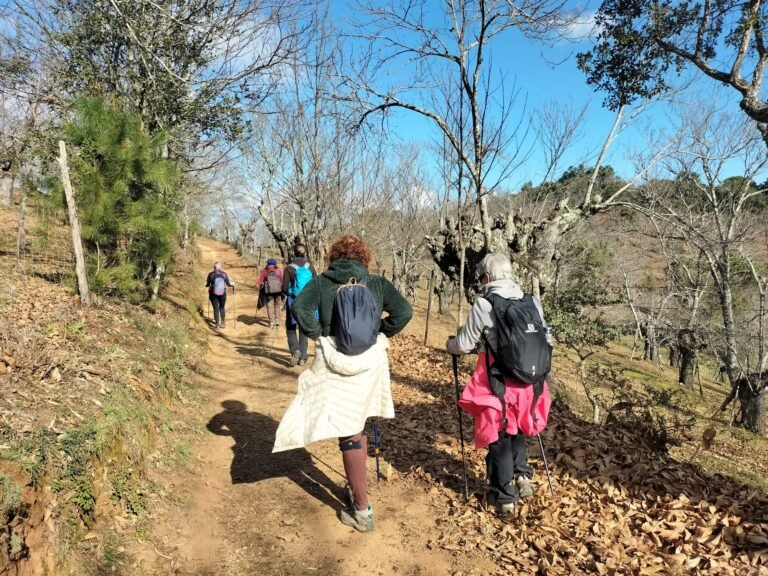 Puente de Diciembre single en Algarve con viajarycompartir.com