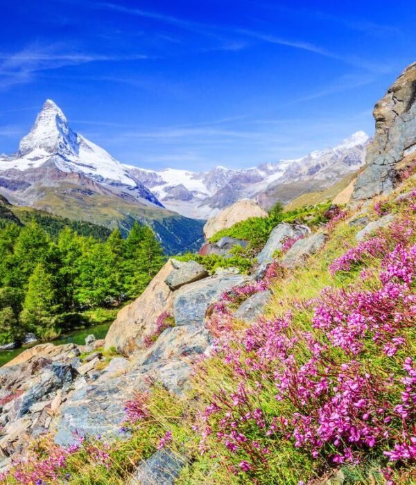 VIAJE SINGLE A SUIZA, ALSACIA Y SELVA NEGRA viajarycompartir.com