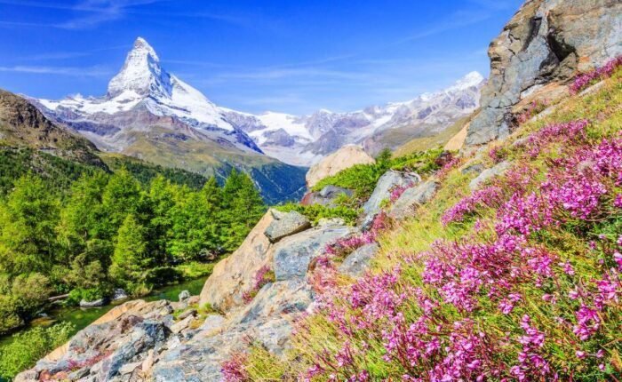 VIAJE SINGLE A SUIZA, ALSACIA Y SELVA NEGRA viajarycompartir.com