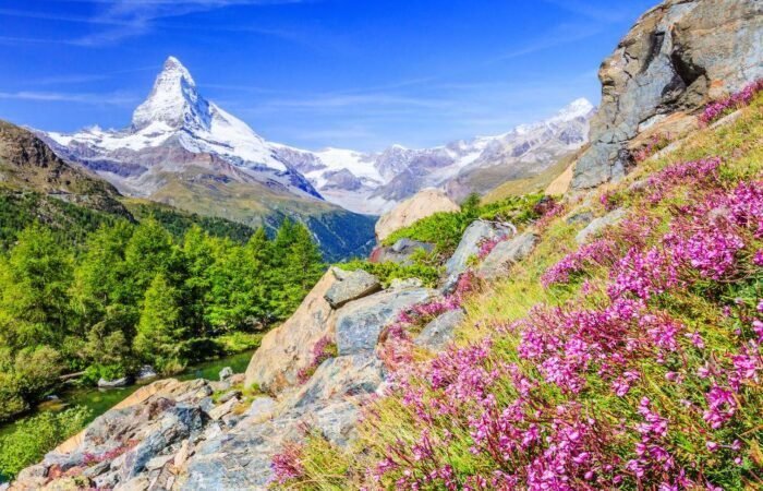 VIAJE SINGLE A SUIZA, ALSACIA Y SELVA NEGRA viajarycompartir.com