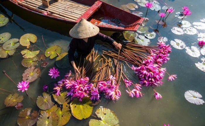 AVENTURA SINGLE EN VIETNAM Y CAMBOYA viajarycompartir.com