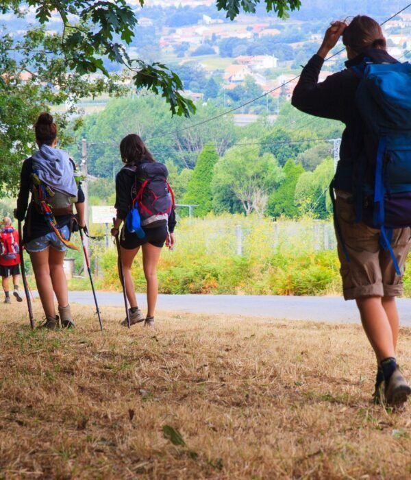 camino de Santiago single viajarycompartir.com