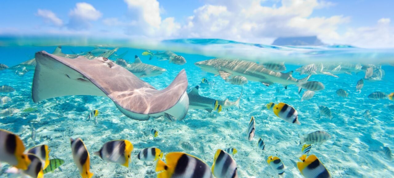 Las 10 Mejores Islas del Mundo para Escaparse en 2025 viajarycompartir.com