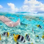 Las 10 Mejores Islas del Mundo para Escaparse en 2025 viajarycompartir.com