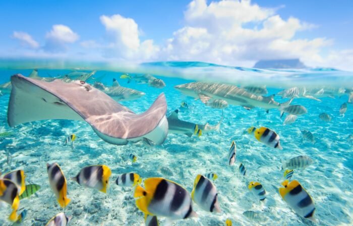 Las 10 Mejores Islas del Mundo para Escaparse en 2025 viajarycompartir.com