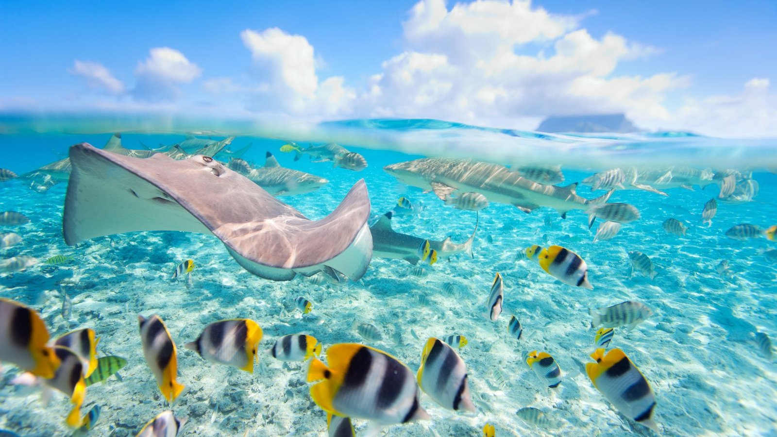 Las 10 Mejores Islas del Mundo para Escaparse en 2025 Las 10 Mejores Islas del Mundo para Escaparse en 2025 viajarycompartir.com